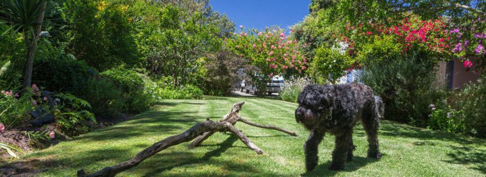Cornerway House Hotel Plettenberg Bay Eksteriør billede